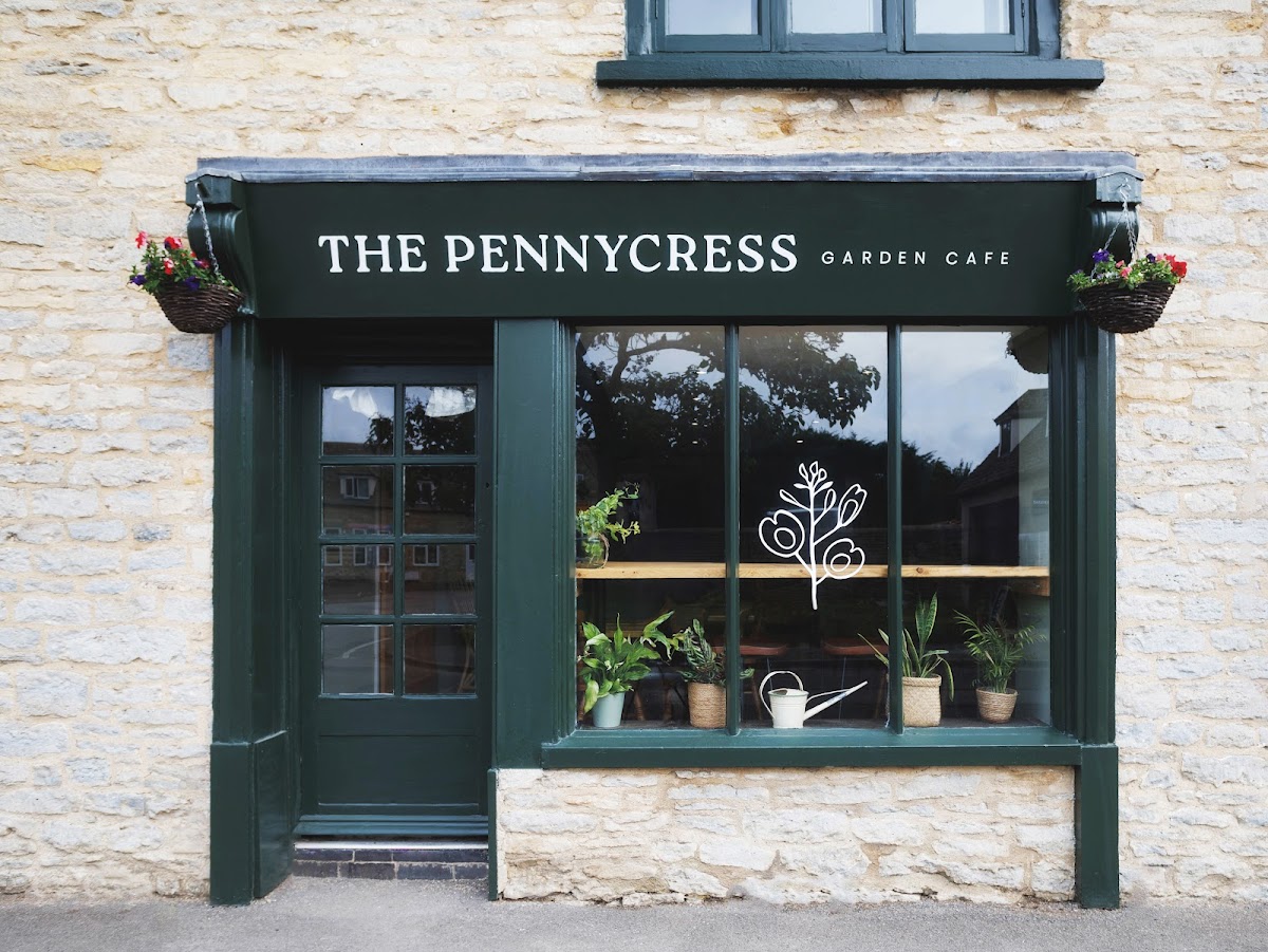 The Pennycress